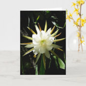 Cactus Bloom Card Karte (Gelbe Blume)