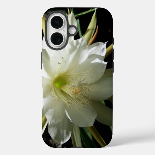Cactus Bloom Case-Mate iPhone Hülle (Rückseite)