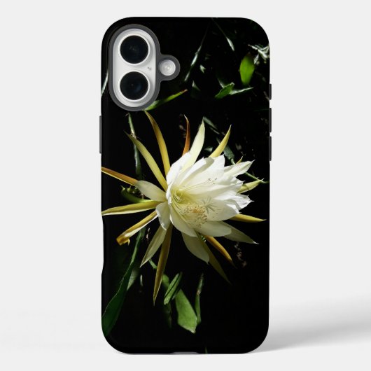 Cactus Bloom Case-Mate iPhone Hülle (Rückseite)
