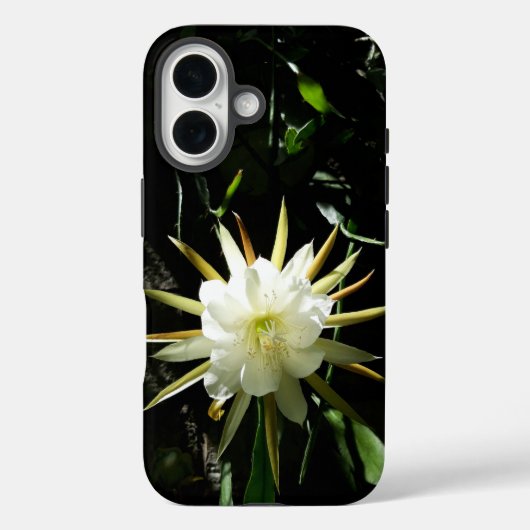 Cactus Bloom Case-Mate iPhone Hülle (Rückseite)