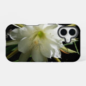 Cactus Bloom iPhone 16 Hülle (Rückseite (Horizontal))