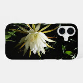Cactus Bloom iPhone 16 Hülle (Rückseite (Horizontal))
