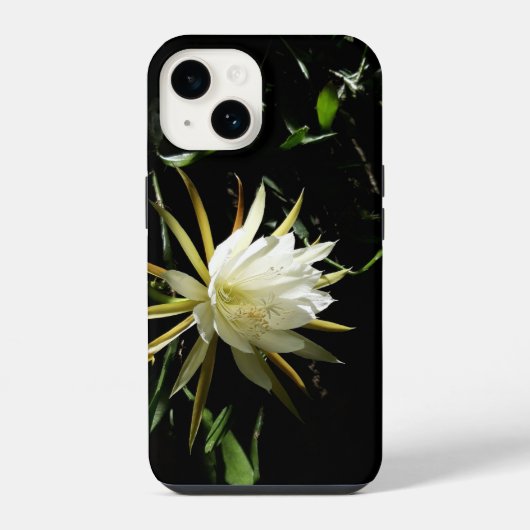 Cactus Bloom iPhone Hülle (Rückseite)