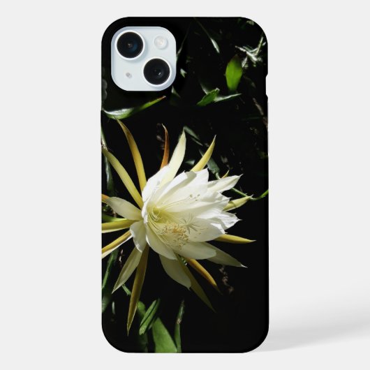 Cactus Bloom iPhone Hülle (Rückseite)
