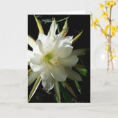 Cactus Bloom Karte (Gelbe Blume)