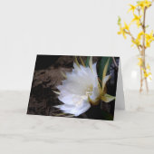 Cactus Bloom Karte (Gelbe Blume)