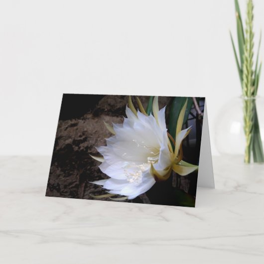 Cactus Bloom Karte (Vorderseite)