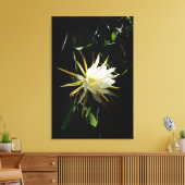 Cactus Bloom Leinwanddruck (Insitu (Wohnzimmer))