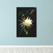 Cactus Bloom Leinwanddruck (Insitu (Holzboden))