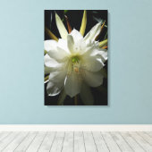 Cactus Bloom Leinwanddruck (Insitu (Holzboden))