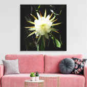 Cactus Bloom Leinwanddruck (Insitu (Wohnzimmer))