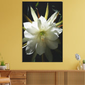 Cactus Bloom Leinwanddruck (Insitu (Wohnzimmer))