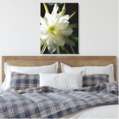 Cactus Bloom Leinwanddruck (Insitu (Schlafzimmer))