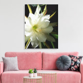 Cactus Bloom Leinwanddruck (Insitu (Wohnzimmer))