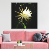 Cactus Bloom Leinwanddruck (Insitu (Wohnzimmer))