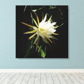 Cactus Bloom Leinwanddruck (Insitu (Holzboden))