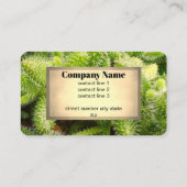 cactus bloom nature photo double sided  visitenkarte (Rückseite)