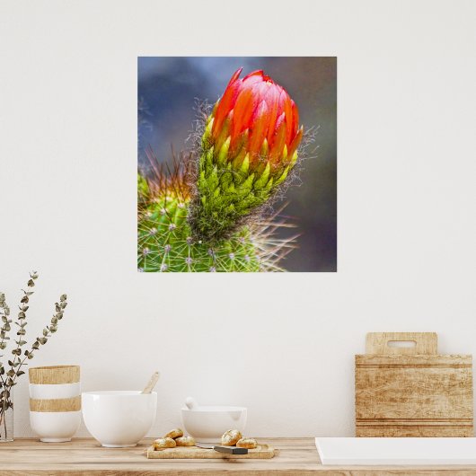 Cactus Bloom Poster (Küche)
