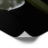 Cactus Bloom Poster (Ecke)