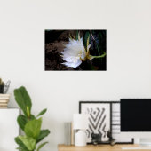 Cactus Bloom Poster (Heimbüro)