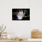 Cactus Bloom Poster (Küche)