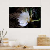 Cactus Bloom Poster (Küche)