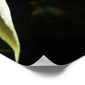 Cactus Bloom Poster (Ecke)