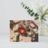 Cactus Bloom Postkarte (Stehend Vorderseite)