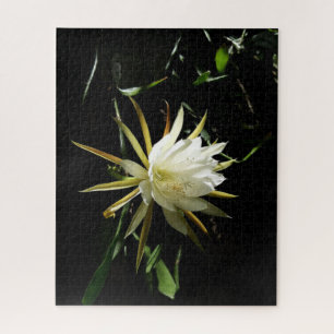 Cactus Bloom Puzzle