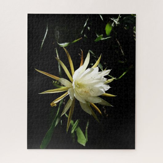 Cactus Bloom Puzzle (Vertikal)