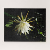 Cactus Bloom Puzzle (Horizontal)