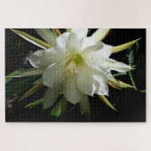 Cactus Bloom Puzzle (Horizontal)