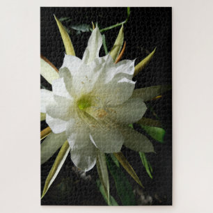 Cactus Bloom Puzzle