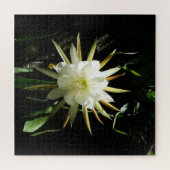 Cactus Bloom Puzzle (Horizontal)