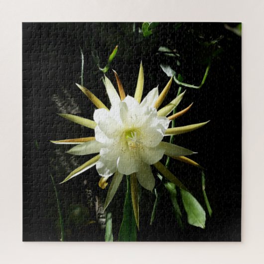 Cactus Bloom Puzzle (Vertikal)