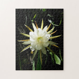 Cactus Bloom Puzzle