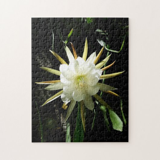 Cactus Bloom Puzzle (Vertikal)