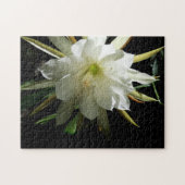 Cactus Bloom Puzzle (Horizontal)