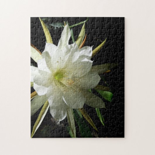 Cactus Bloom Puzzle (Vertikal)