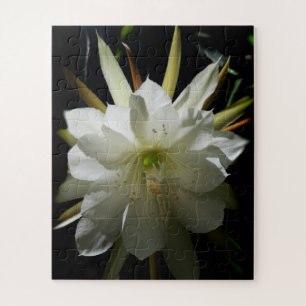 Cactus Bloom Puzzle