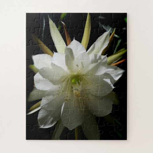 Cactus Bloom Puzzle (Vertikal)