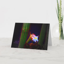 "Cactus Blume at Sunset #105" Karte