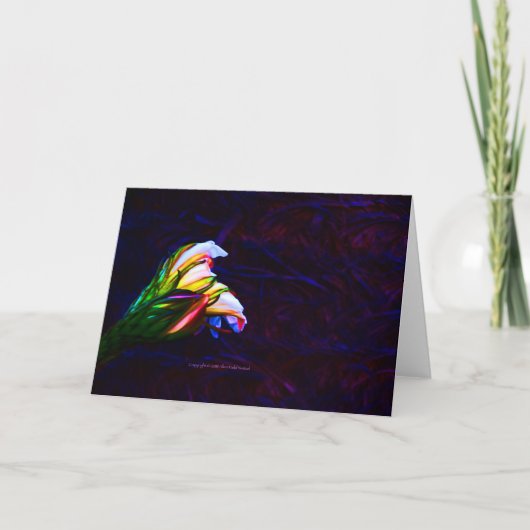 "Cactus Blume at Sunset #85" Karte (Vorderseite)