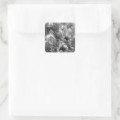 Cactus Blume B&W Wüste Custom Decal Stickers (Tasche)