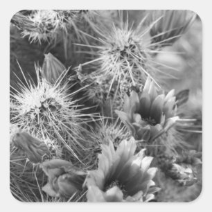 Cactus Blume B&W Wüste Custom Decal Stickers