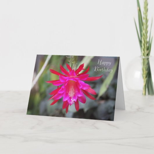 Cactus Blume Birthday Card Karte (Vorderseite)