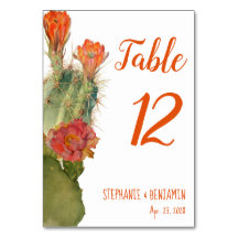Cactus Blume Botanical Watercolor Wedding