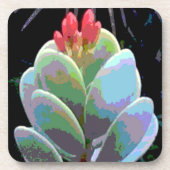 Cactus Blume Buds Getränkeuntersetzer (Vorderseite)