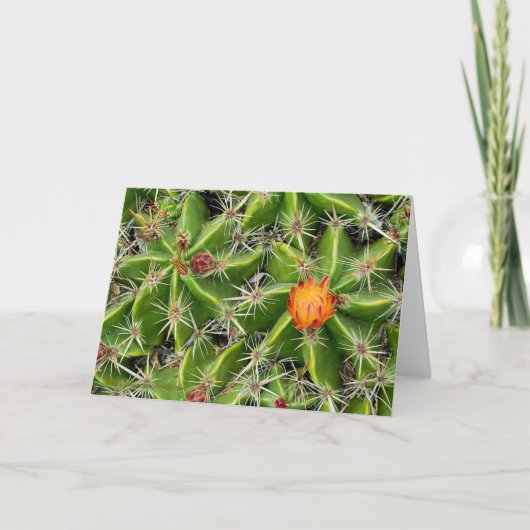 Cactus Blume Card - Gruß anpassen Karte (Vorderseite)