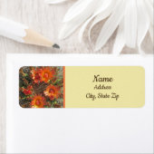 Cactus Blume Foto Bright Orange Floral (Insitu)